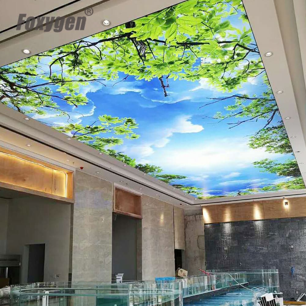 15 Year Quality Guarantee Pre-stretched Double Layer Panels Architect Blue Sky Ceilings Pvc Membrane Foil Stretch Ceilings