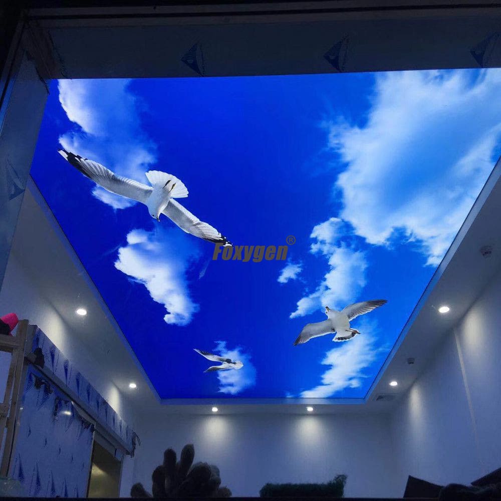 15 Year Quality Guarantee Pre-stretched Double Layer Panels Architect Blue Sky Ceilings Pvc Membrane Foil Stretch Ceilings